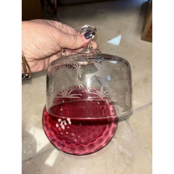 GLASS  DOME CHEESE Butter DESSERT COVERED DISH 7x9” Cranberry Clear Birds Trees - Picture 4 of 7